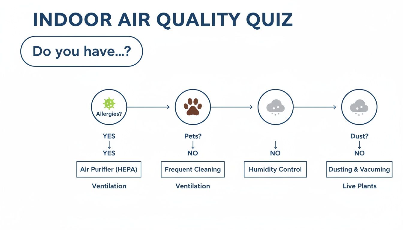Flowchart on indoor air quality quiz, suggesting solutions like purifiers, ventilation, and cleaning.