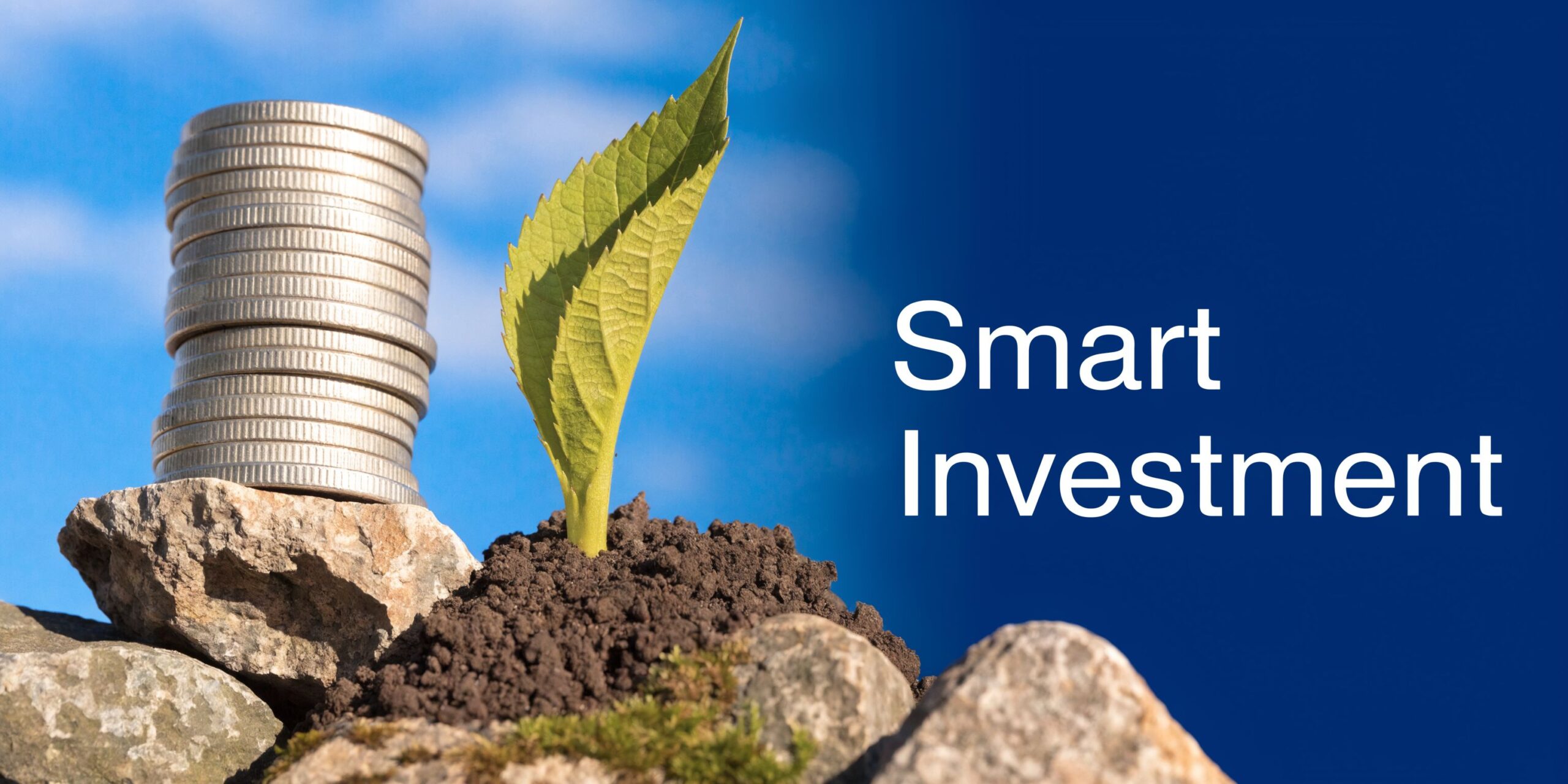 A stack of silver coins next to a small green sprout growing from soil on rocky ground.