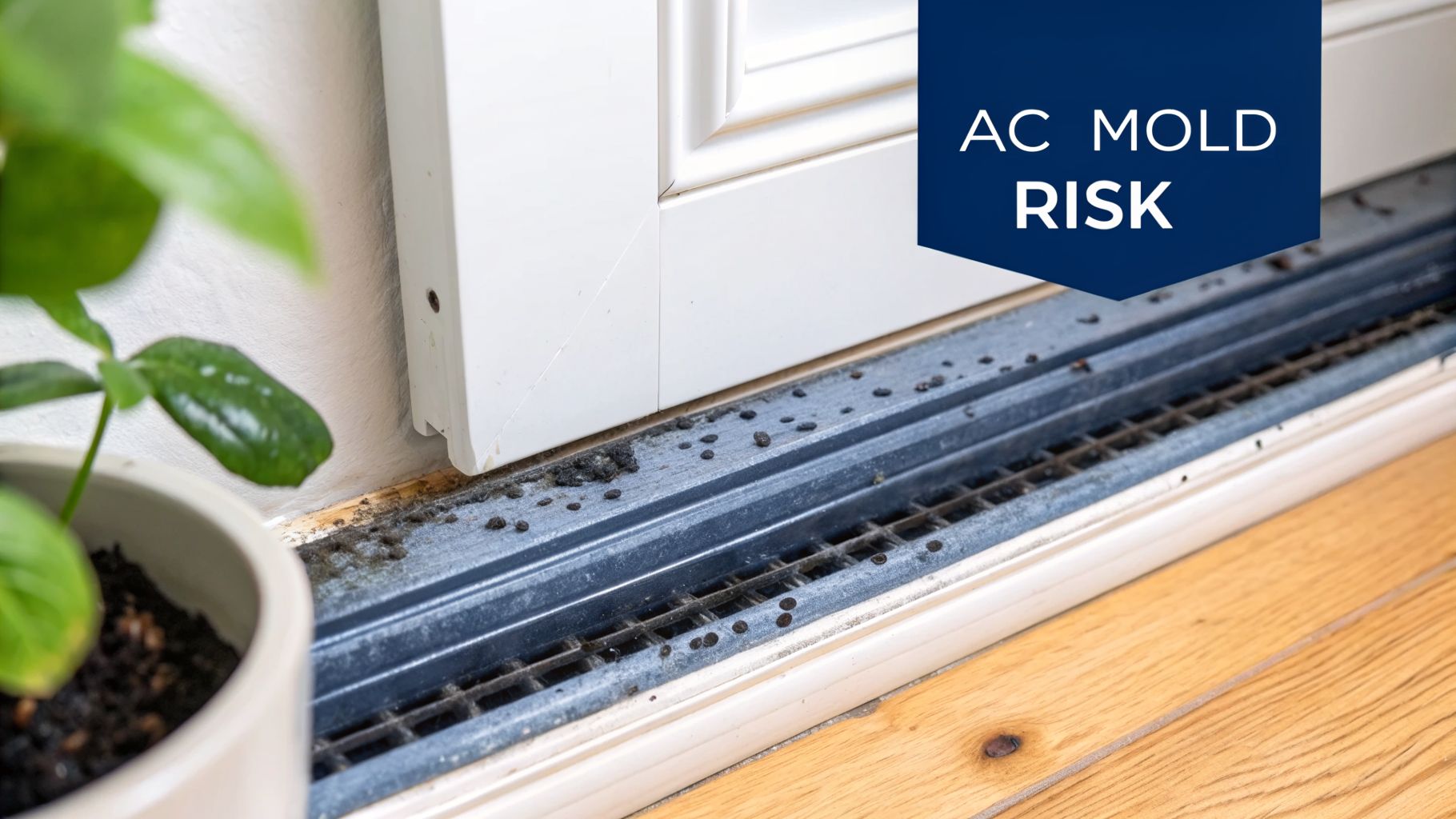Guide: How to Clean Mold Out of AC Unit in 2026 2 Close-up of a dirty AC floor vent with visible black mold and grime, highlighting AC mold risk.
